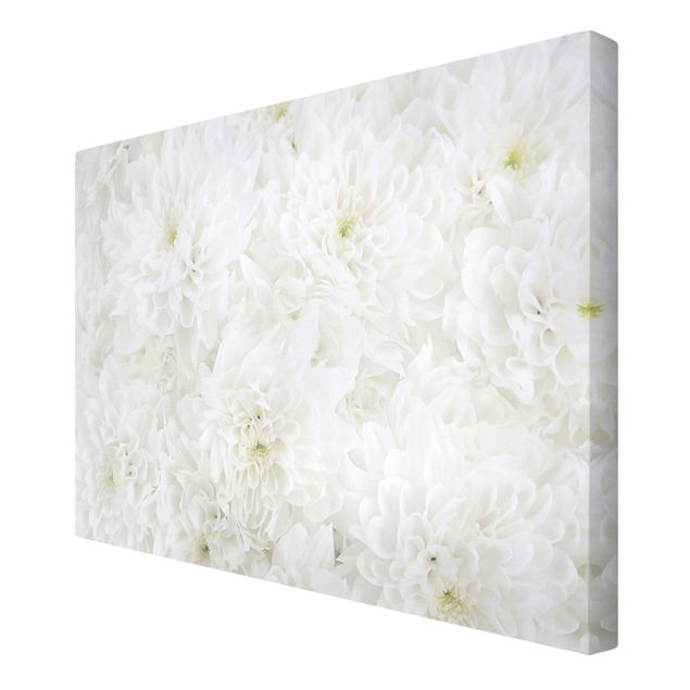 Obraz na płótnie Dahlie Morze kwiatów białe