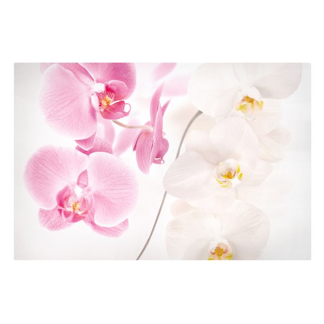 Dekoracja do kuchni Delikatne orchidee