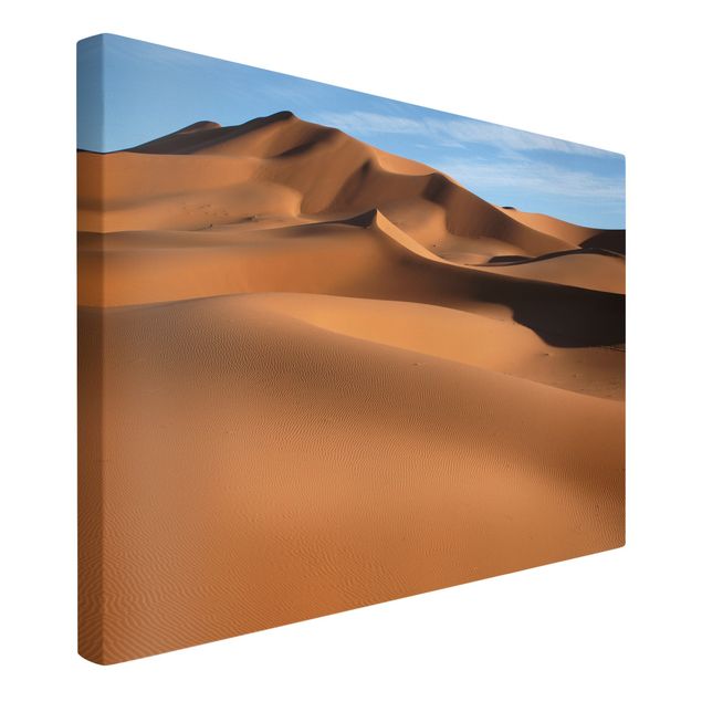 Obrazy na ścianę krajobrazy Desert Dunes
