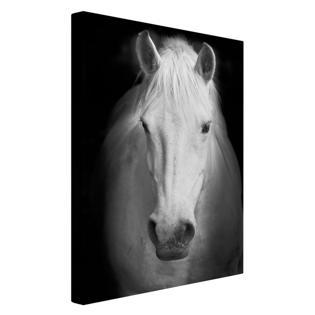 Obrazy ze zwierzętami Marzenie o koniu