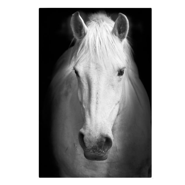 Obraz na płótnie konie Marzenie o koniu