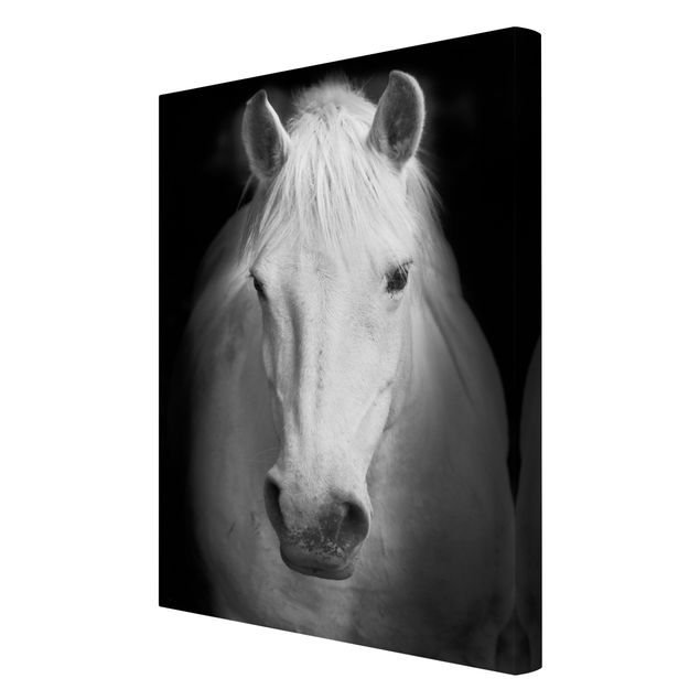 Obrazy na płótnie zwierzęta Marzenie o koniu