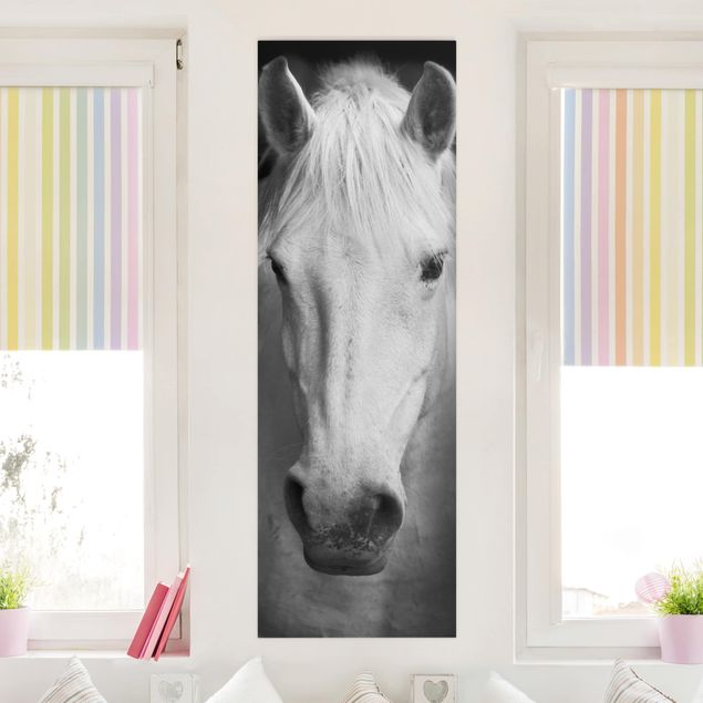 Obrazy nowoczesny Marzenie o koniu