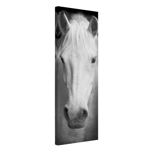 Obrazy ze zwierzętami Marzenie o koniu
