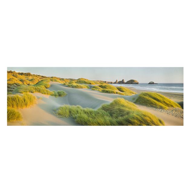Obrazy morze Wydmy i trawy nad morzem