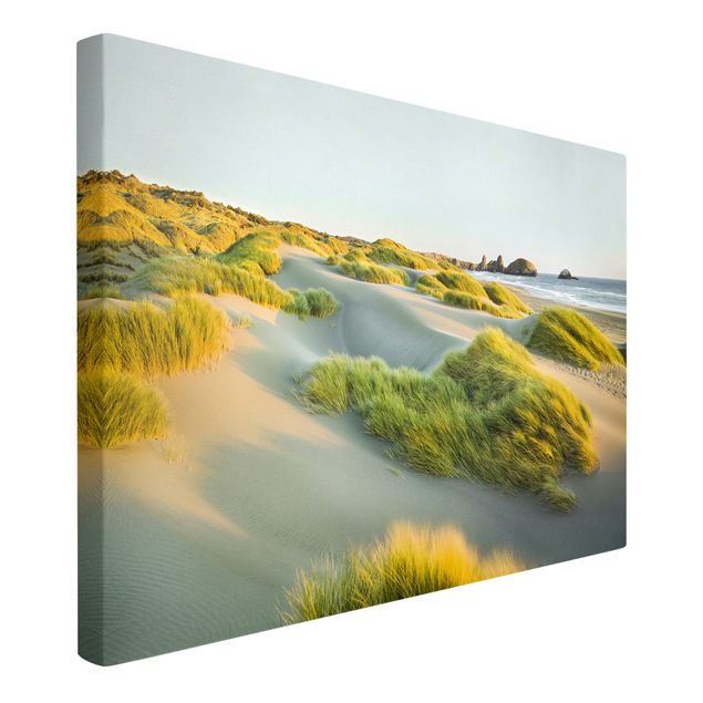 Obrazy góry Wydmy i trawy nad morzem