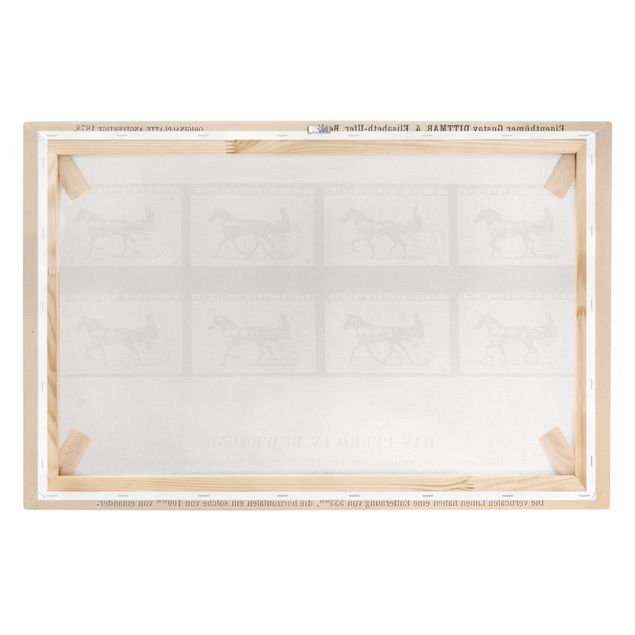 Konie obrazy na płótnie Eadweard Muybridge - Koń w ruchu