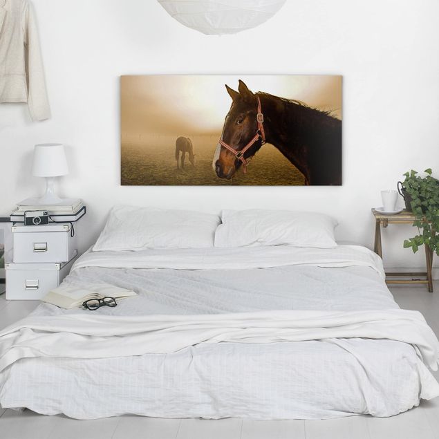 Obrazy koń Wczesny koń