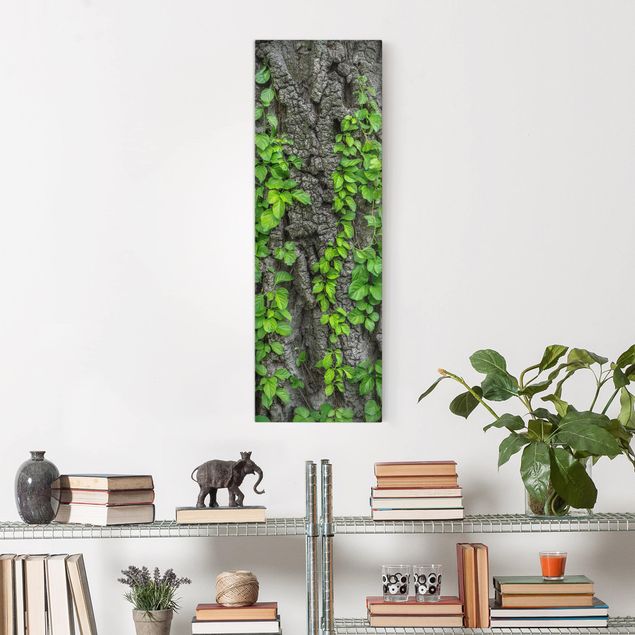 Obrazy nowoczesne Kora drzewa bluszczu