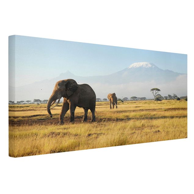 Obrazy na ścianę krajobrazy Słonie na tle Kilimandżaro w Kenii