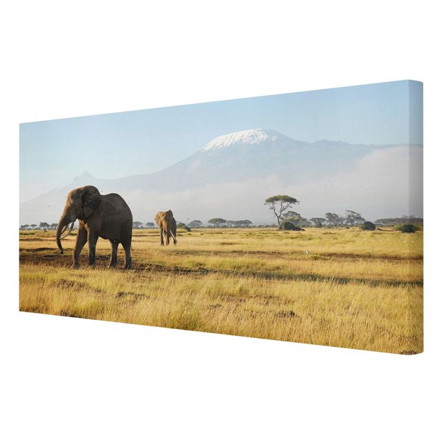 Obrazy ze zwierzętami Słonie na tle Kilimandżaro w Kenii