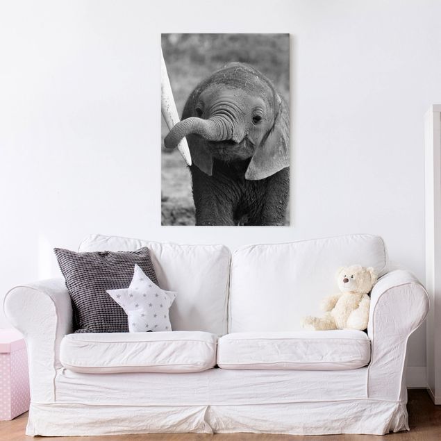 Obrazy do salonu Baby słoń