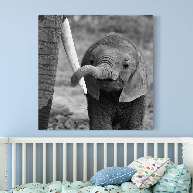 Dekoracja do kuchni Baby słoń