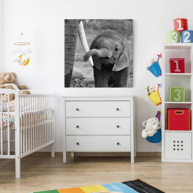 Obrazy nowoczesne Baby słoń