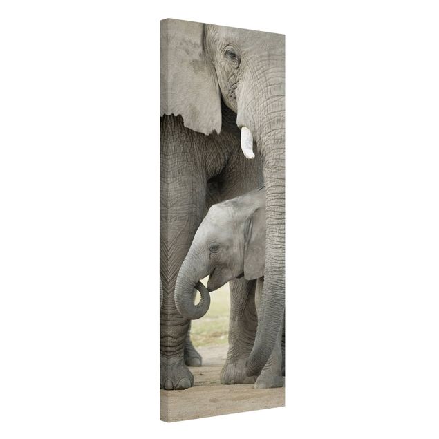 Obrazy ze zwierzętami Miłość słonia