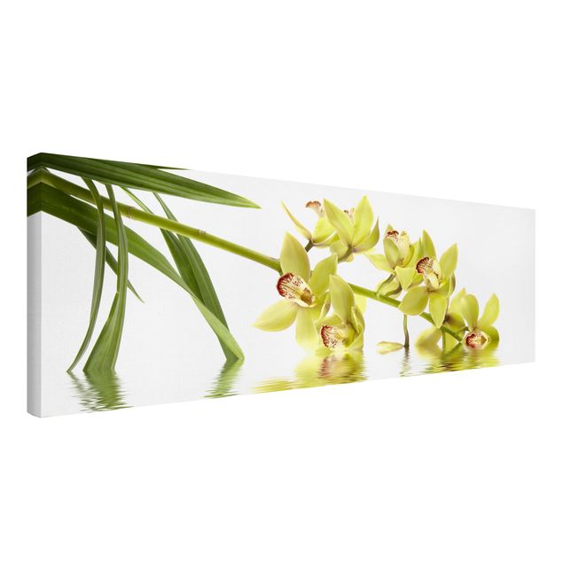 Obrazy na płótnie orchidea Eleganckie wody orchidei