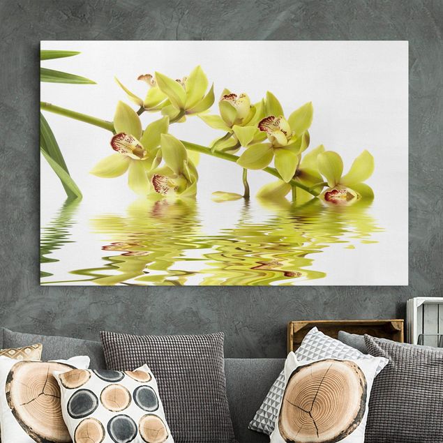 Obrazy do salonu nowoczesne Eleganckie wody orchidei