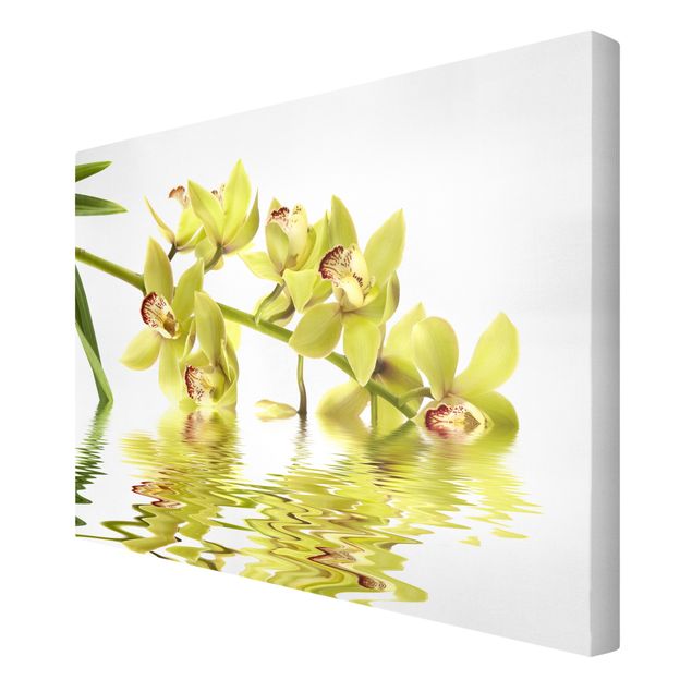 Obrazy z motywem kwiatowym Eleganckie wody orchidei