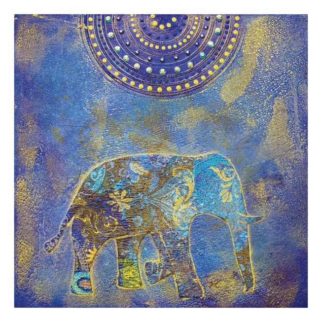Słoń obraz Słonie w Marrakeszu