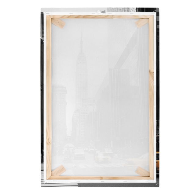 Obrazy na płótnie zebra Empire State Building