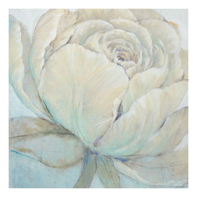 Obrazy z motywem kwiatowym Pastelowa róża angielska