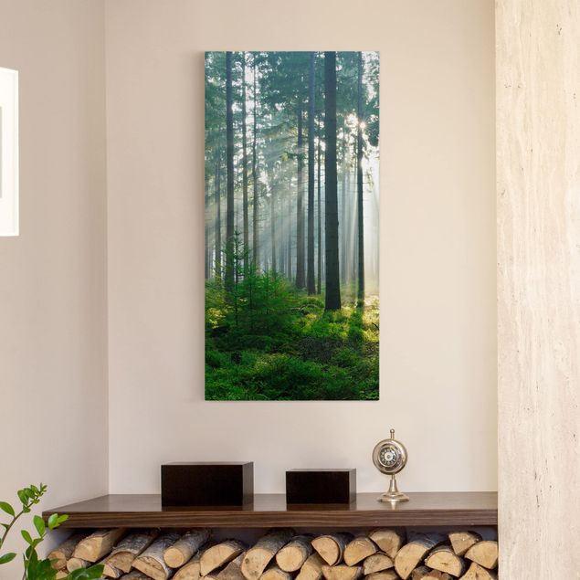 Nowoczesne obrazy do salonu Świetlany las