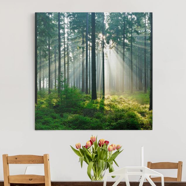 Nowoczesne obrazy do salonu Świetlany las