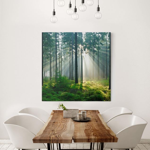 Obrazy nowoczesny Świetlany las