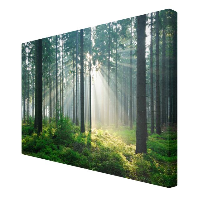 Zielony obraz Świetlany las