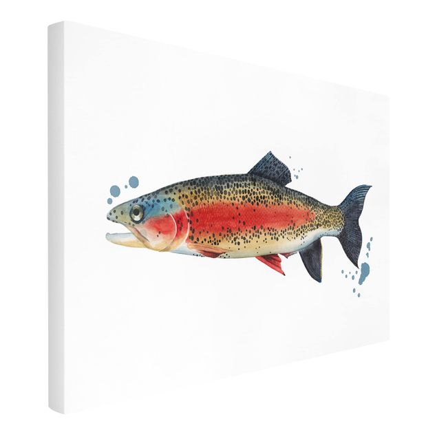 Obrazy ryby Złapanie koloru - pstrąg
