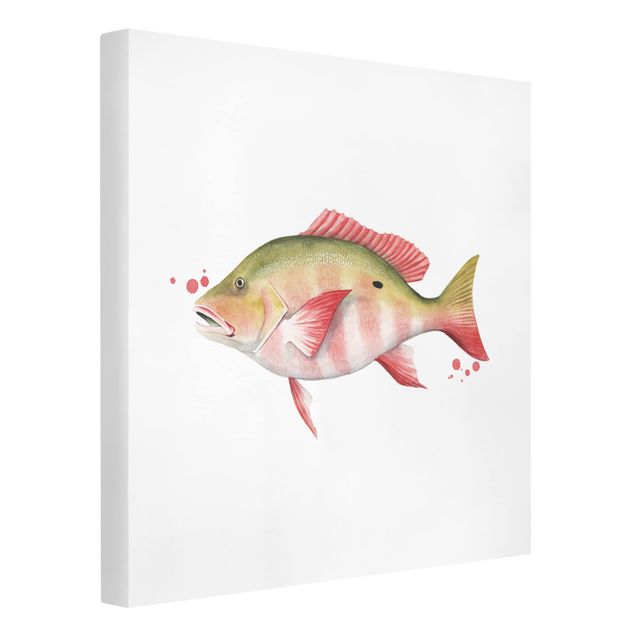 Obrazy z rybami Złapanie koloru - lucjan północny