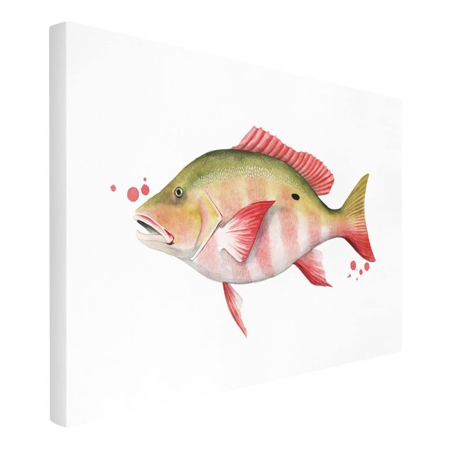 Obrazy z rybami Złapanie koloru - lucjan północny