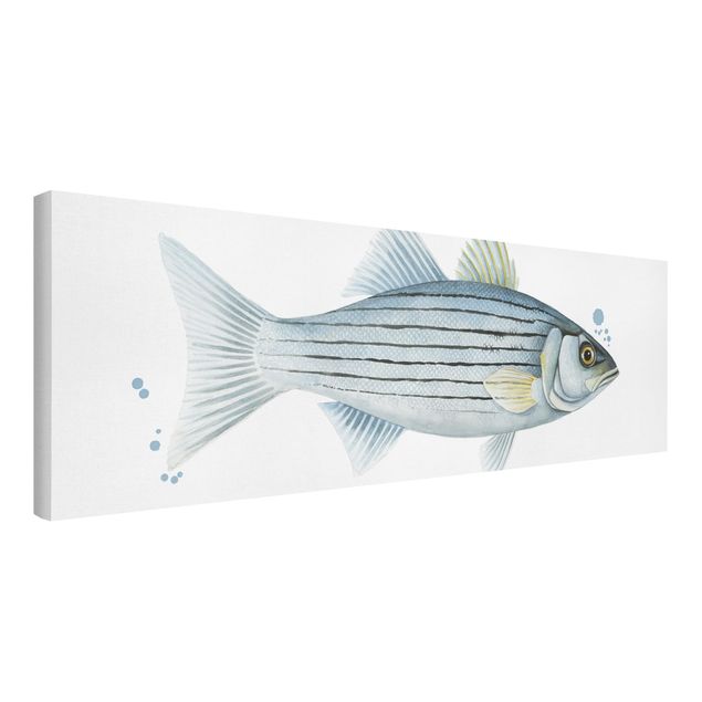 Ryby obrazy Złapanie koloru - biały okoń