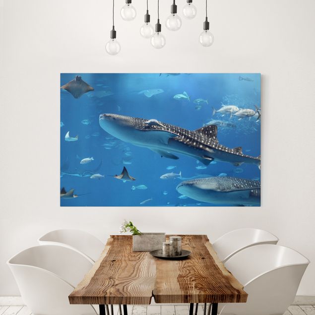 Obrazy do salonu nowoczesne Ryby w morzu