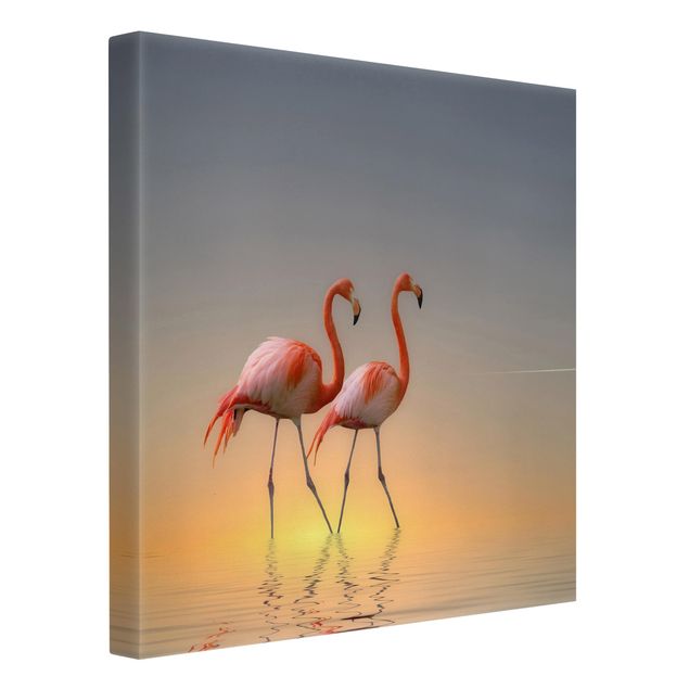 Obrazy ze zwierzętami Miłość flaminga