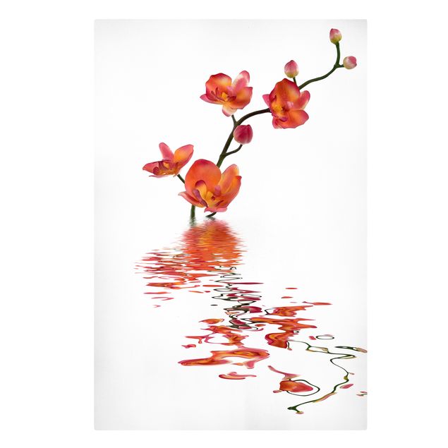 Dekoracja do kuchni Pieniste wody orchidei