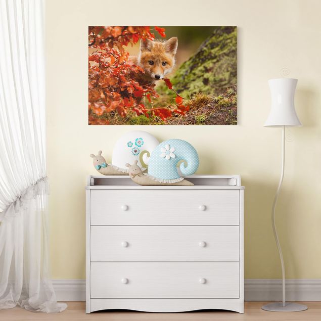 Obrazy nowoczesny Lis jesienią