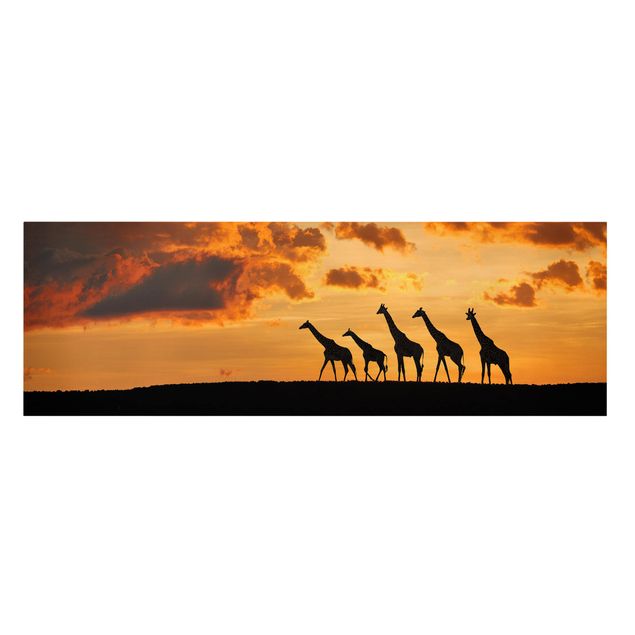Obrazy zwierzęta Pięć żyraf