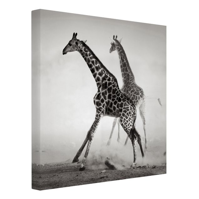 Obrazy zwierzęta Polowanie na żyrafę