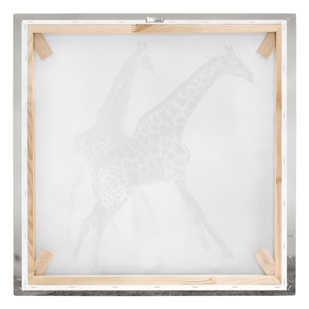 Obraz na płótnie czarno biały Polowanie na żyrafę