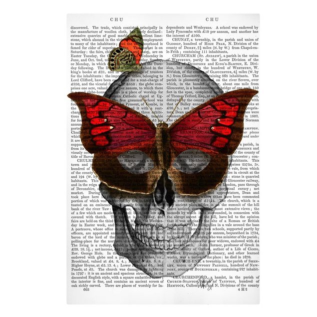 Obrazy zwierzęta Ciekawe czytanie - Maska motyla