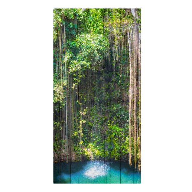 Obrazy krajobraz Wiszące korzenie Cenote Ik-Kil