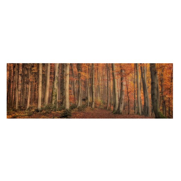 Obrazy krajobraz Jesienny spacer