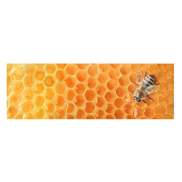 Obrazy na płótnie zwierzęta Pszczoła miodna
