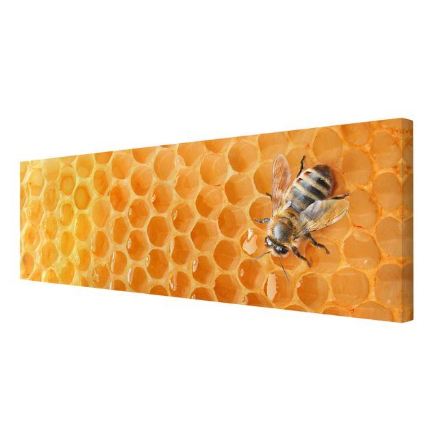 Obrazy na ścianę Pszczoła miodna