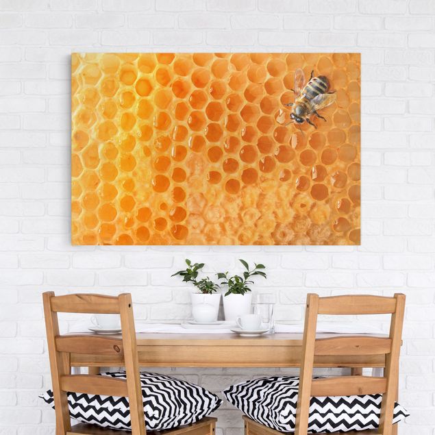 Obrazy do salonu nowoczesne Pszczoła miodna