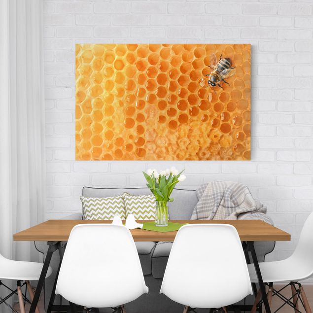 Nowoczesne obrazy Pszczoła miodna