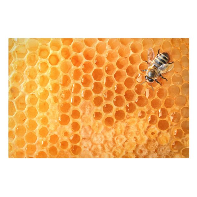 Obrazy na płótnie słoneczniki Pszczoła miodna