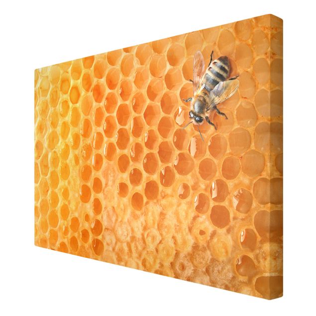 Obrazy na płótnie zwierzęta Pszczoła miodna