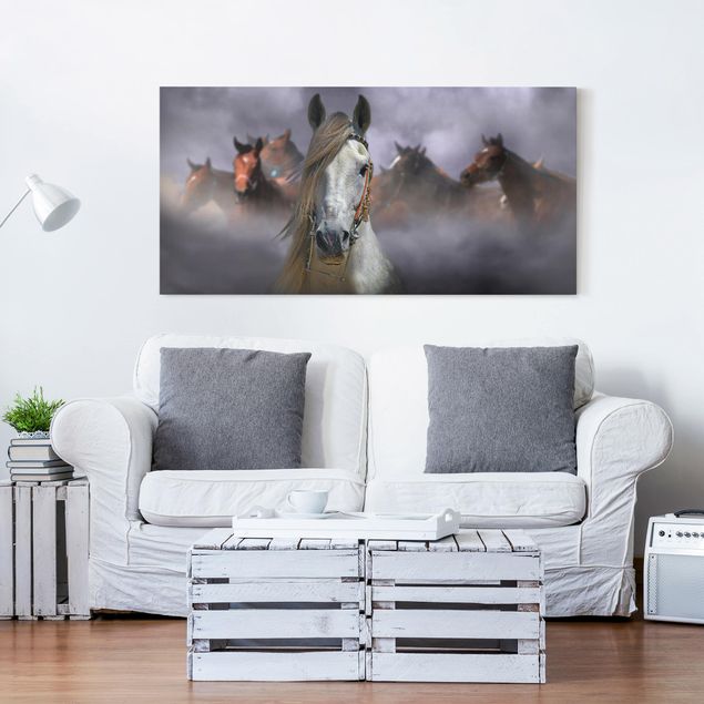 Obrazy nowoczesny Konie w kurzu